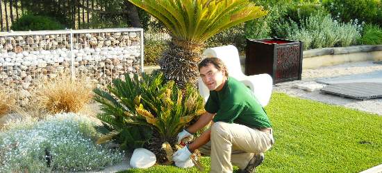 Entretien des massifs de plantes chez un particluier